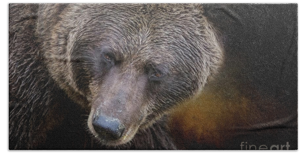 Grizzly Bear Hand Towel featuring the photograph Grizzly Bear Portrait by Eva Lechner