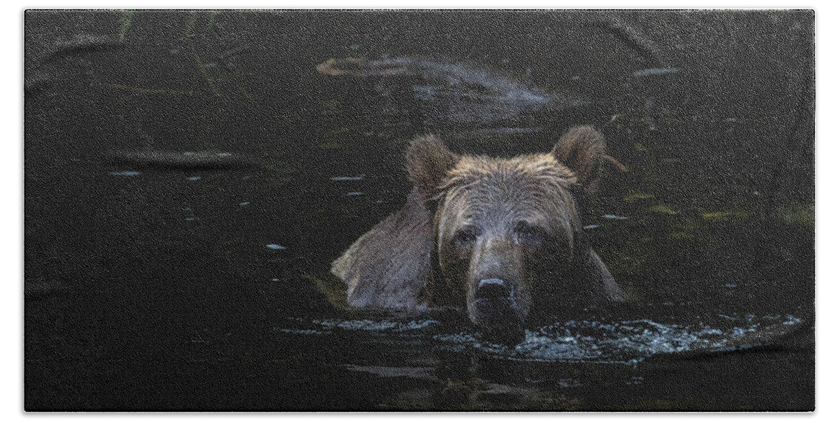 Grizzly Bear Bath Towel featuring the photograph Grizzly Swimmer by Randy Hall