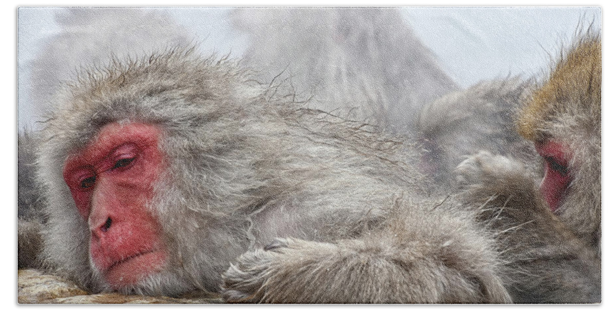 Snow Monkey Bath Towel featuring the photograph Grooming by Kuni Photography