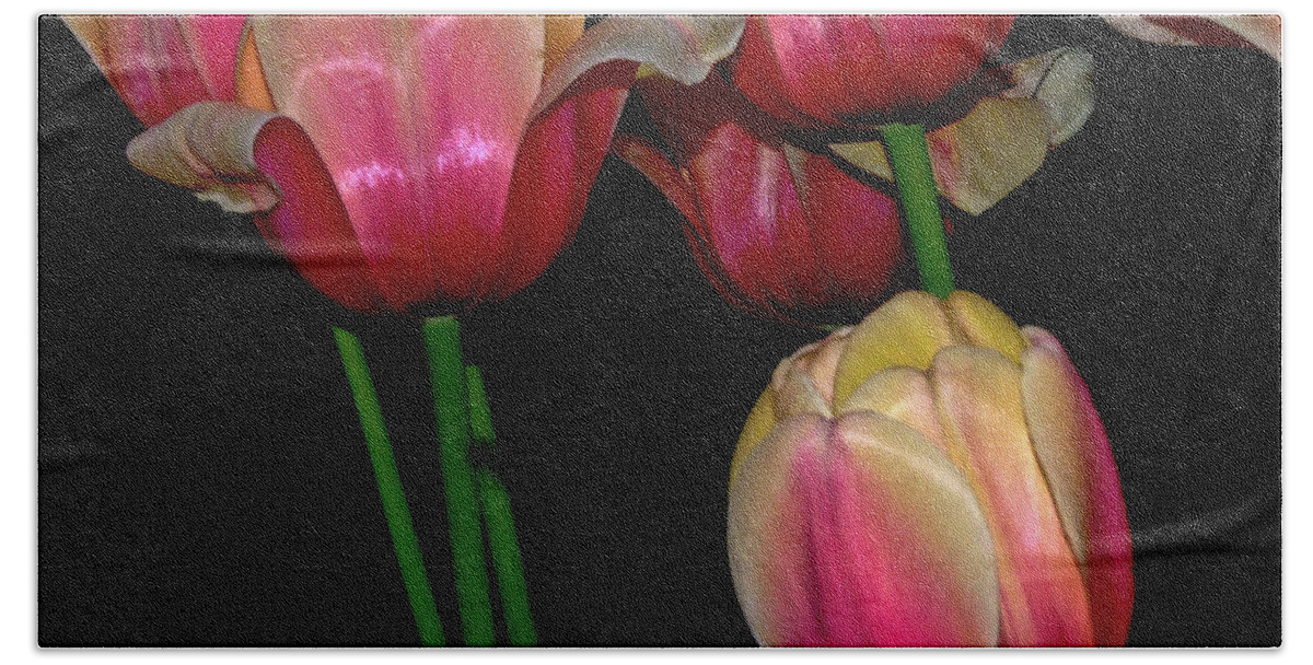 Tulip Hand Towel featuring the photograph Grouping ofPink and Yellow Tulips by Frances Ann Hattier