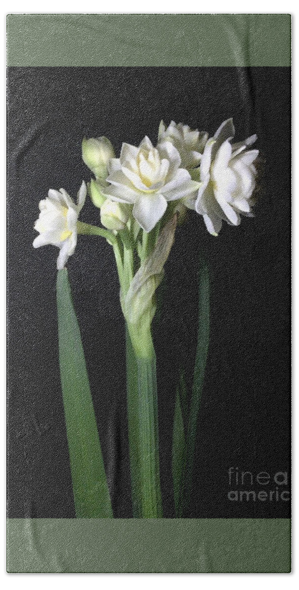Photograph Bath Towel featuring the photograph Grow Tiny Paperwhites Narcissus Photograph by Delynn Addams by Delynn Addams