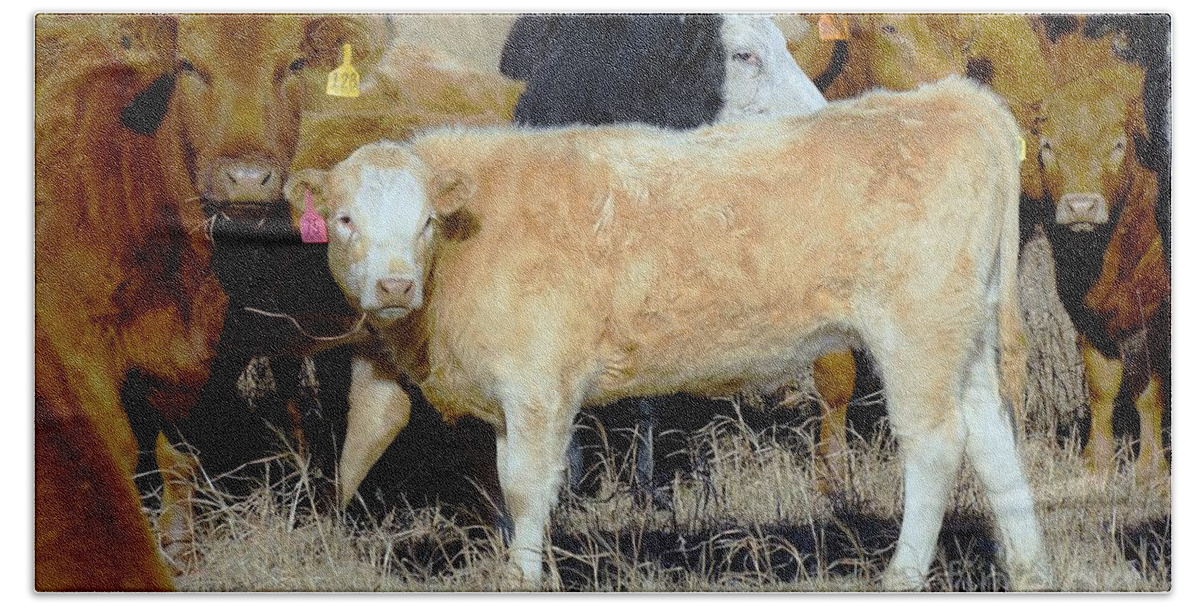 Calf Bath Towel featuring the photograph Growing up by Merle Grenz
