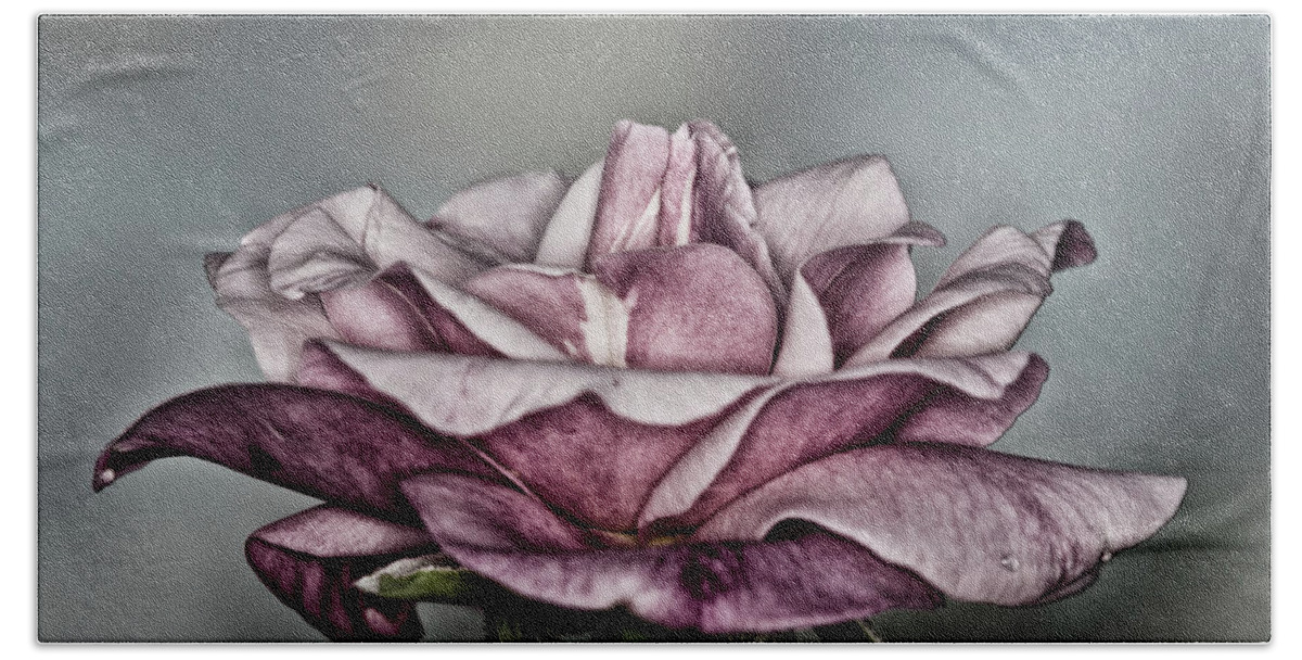 Rose Hand Towel featuring the photograph Grungy Rose by Artful Imagery