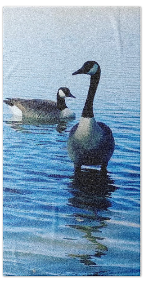 Geese Bath Towel featuring the photograph Guarding Geese by Vic Ritchey