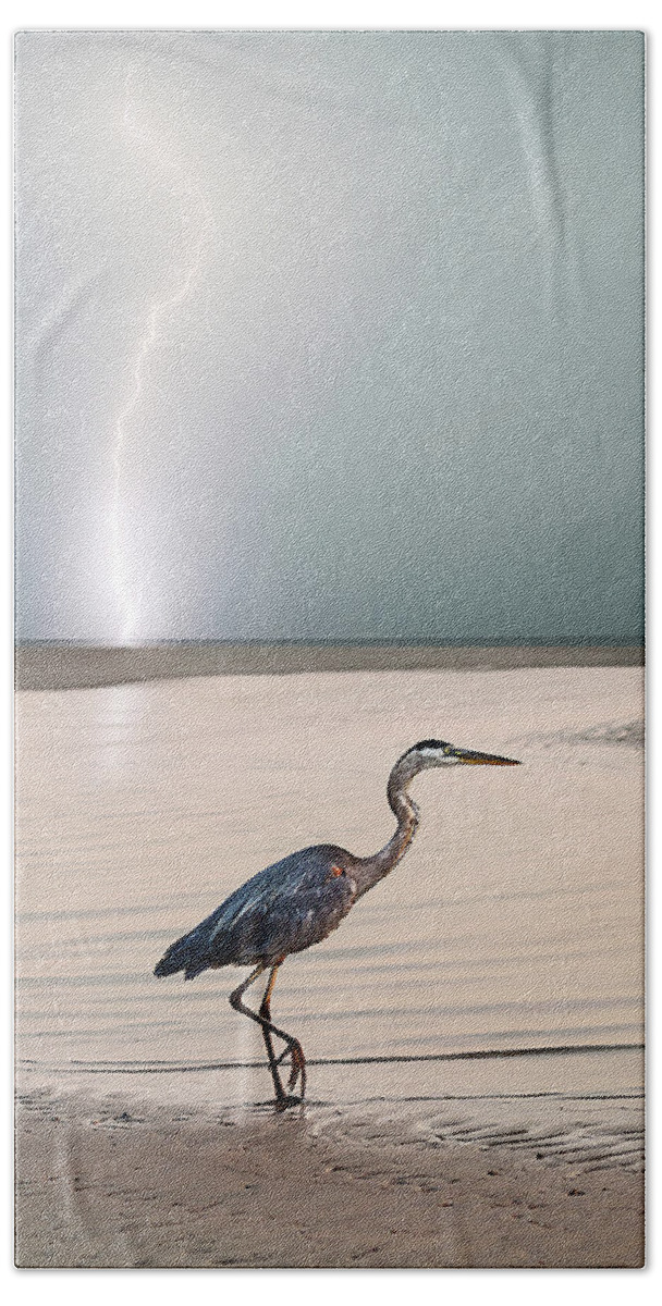 Lightning Bath Towel featuring the photograph Gulf Port Storm by Scott Cordell