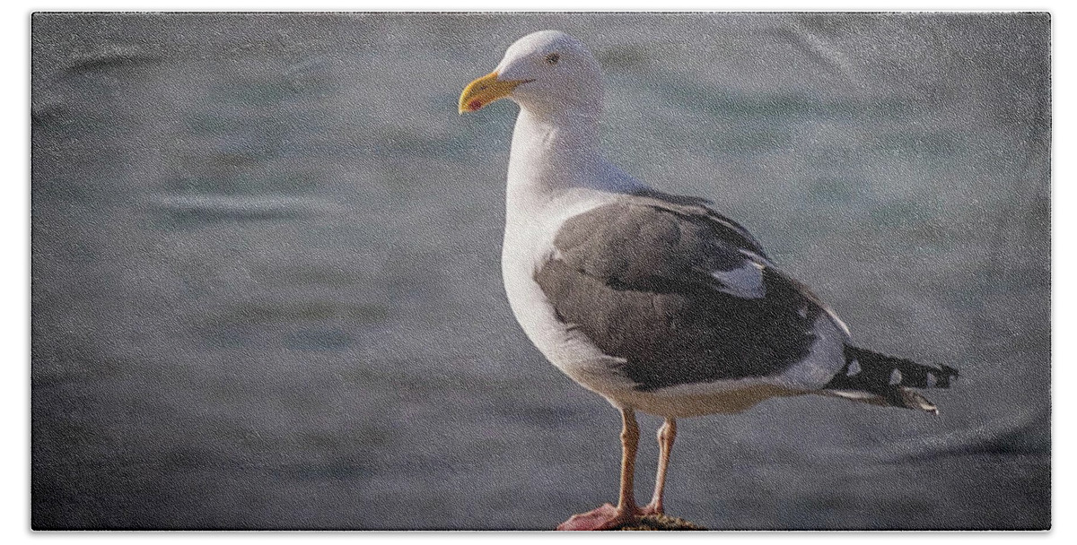 Seagull Bath Towel featuring the photograph Gull by David Barile