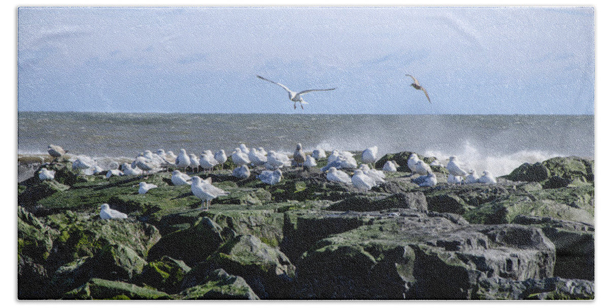 Birds Bath Towel featuring the photograph Gulls on Rock Jetty by Maureen E Ritter