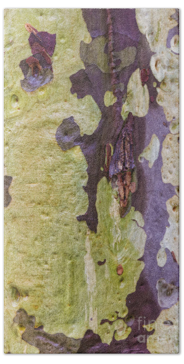 Eucalypt Bath Towel featuring the photograph Gum Tree Detail by Elaine Teague