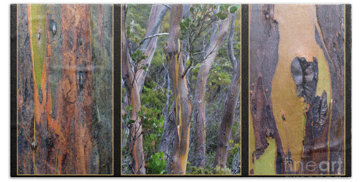 Australia Hand Towel featuring the photograph Gum Trees at Lake St Clair by Werner Padarin