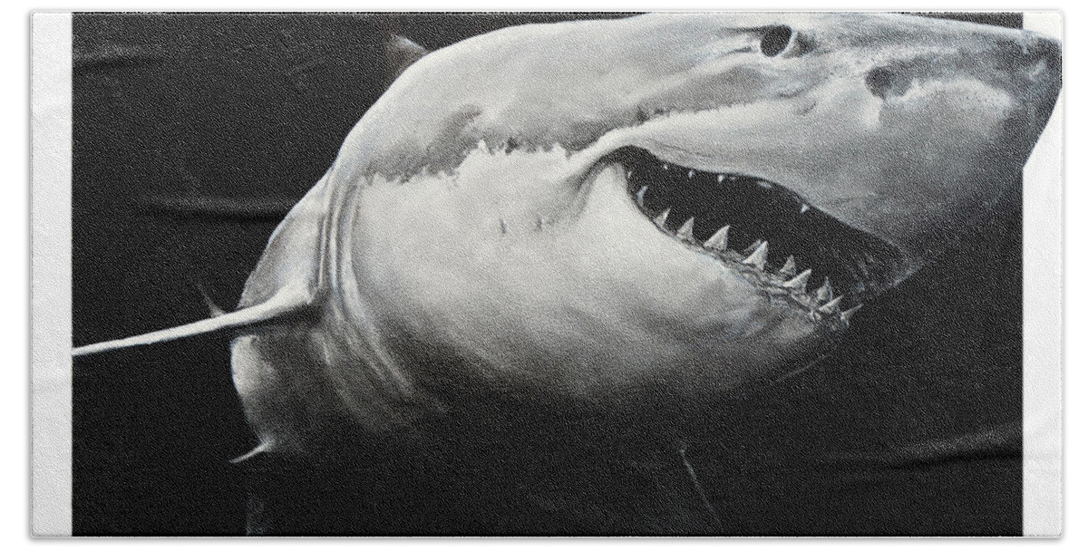 Drawing Bath Towel featuring the drawing GW Shark by William Underwood