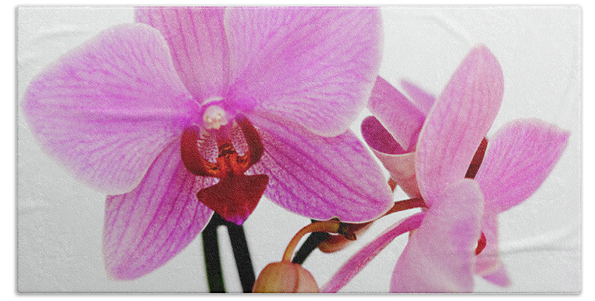 Orchid Bath Towel featuring the photograph Happiness and Carfree by Sherry Hallemeier