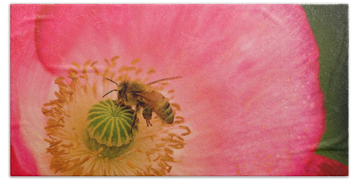 Bee Bath Towel featuring the photograph Happy Bee by Bob Cournoyer