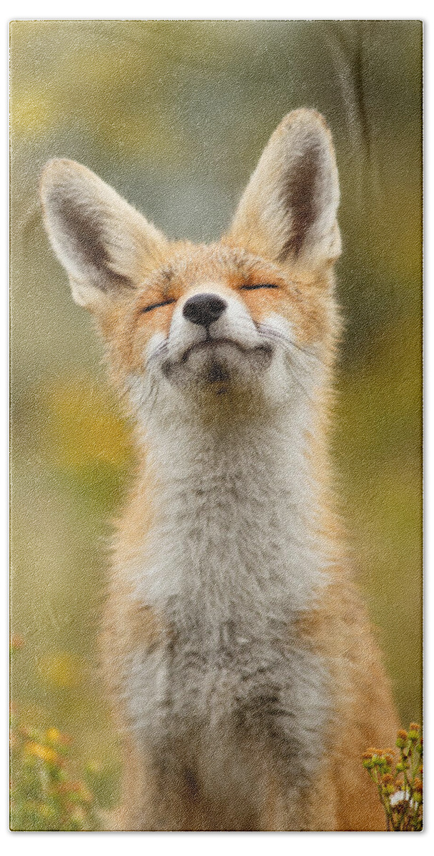 Red Fox Hand Towel featuring the photograph Happy Fox by Roeselien Raimond