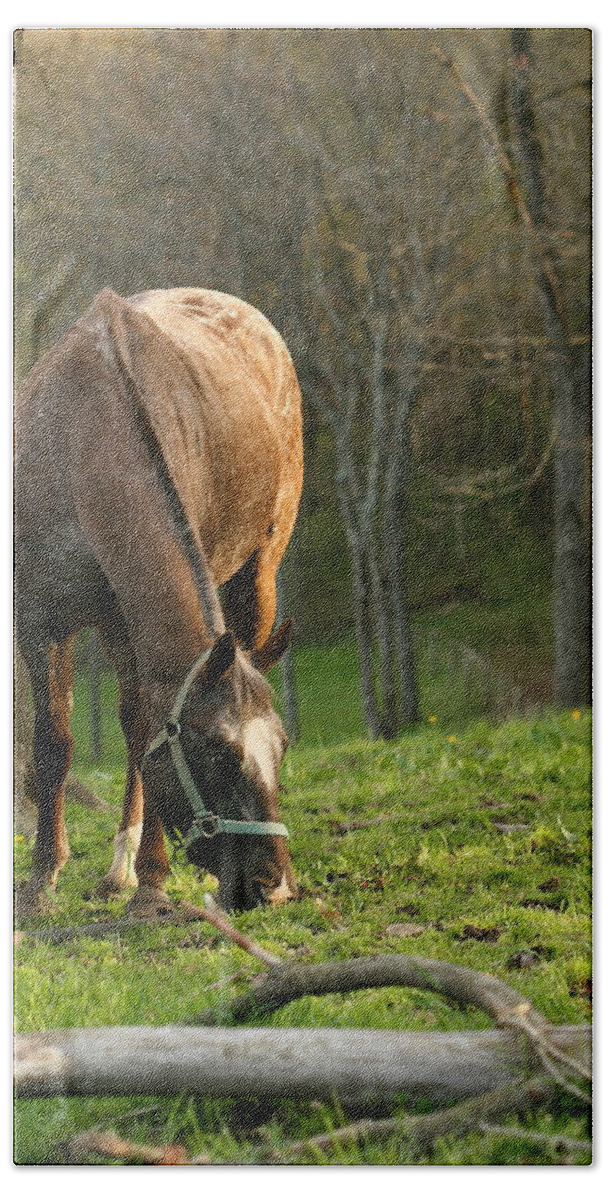 Pasture Bath Towel featuring the photograph Happy Grazing by Angela Rath
