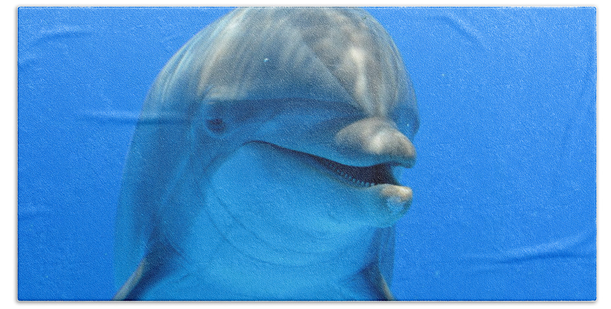 Dolphin Hand Towel featuring the photograph Happy Smiling Dolphin by Richard Bryce and Family