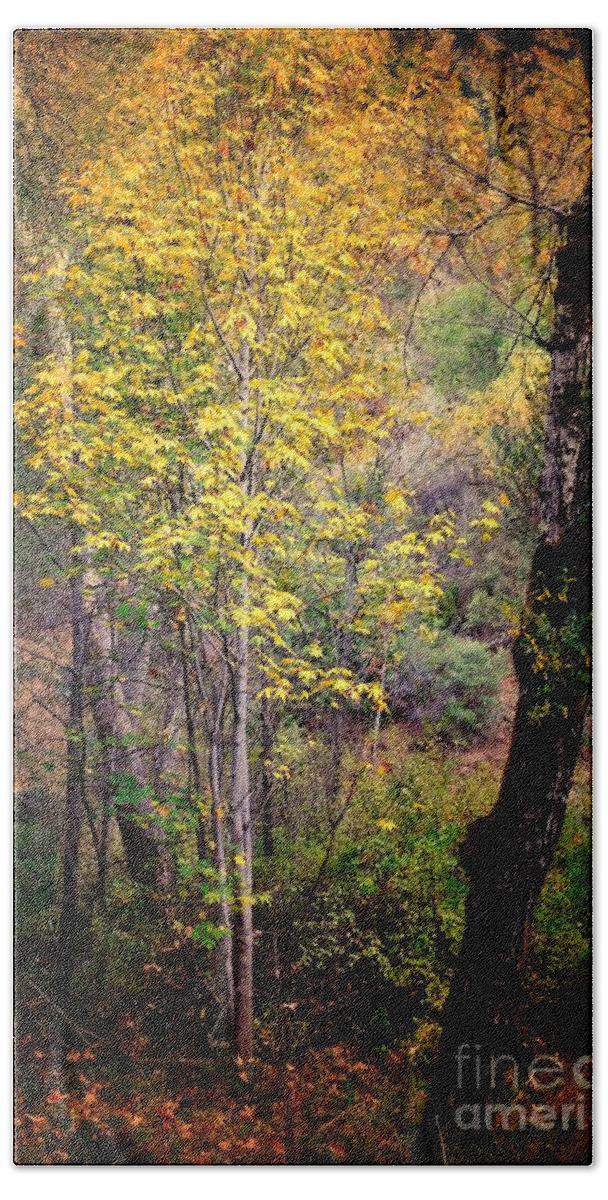 Fall Hand Towel featuring the photograph Harbinger of Autumn by Parrish Todd