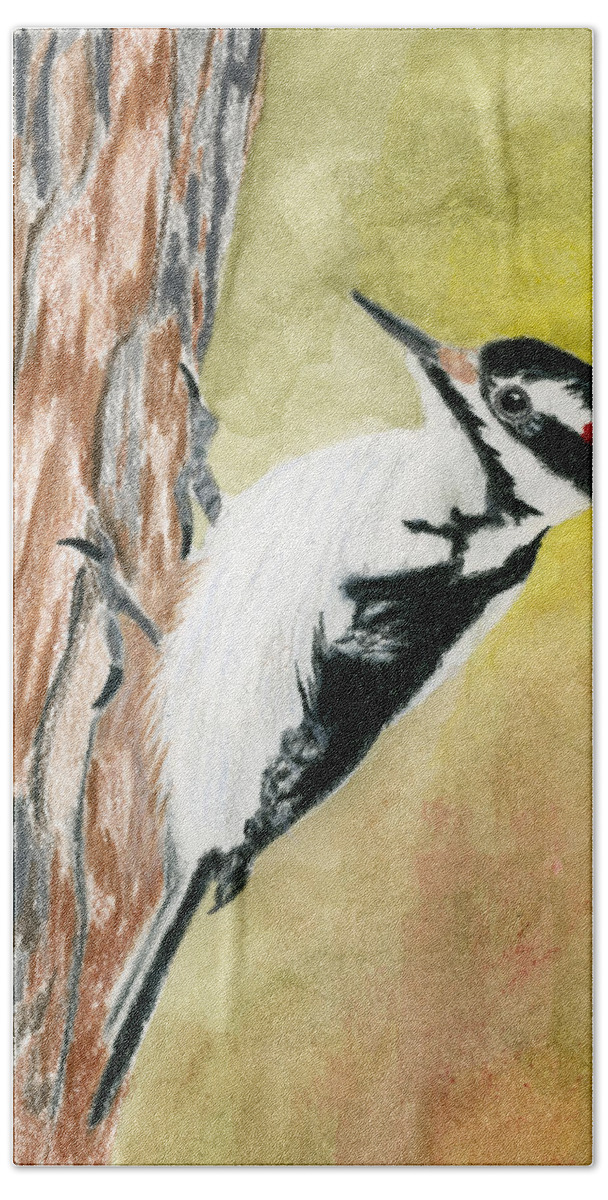 Woodpecker Bath Towel featuring the drawing Harry the Hairy Woodpecker by Richard Stedman