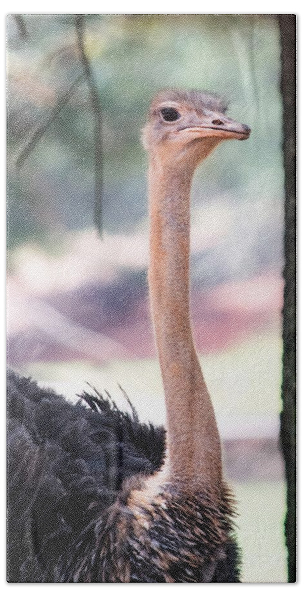 Emu Bath Towel featuring the photograph Haughty Emu by Mary Ann Artz