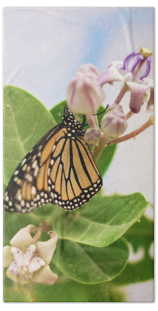 Monarch Butterfly Bath Towel featuring the photograph Hawaiian Monarch by Heather Applegate