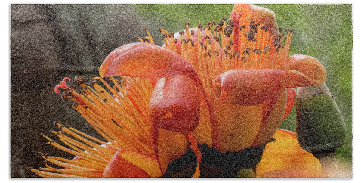 Hawaii Bath Towel featuring the photograph Hawaiian Orange Flower 2 by Christy Garavetto