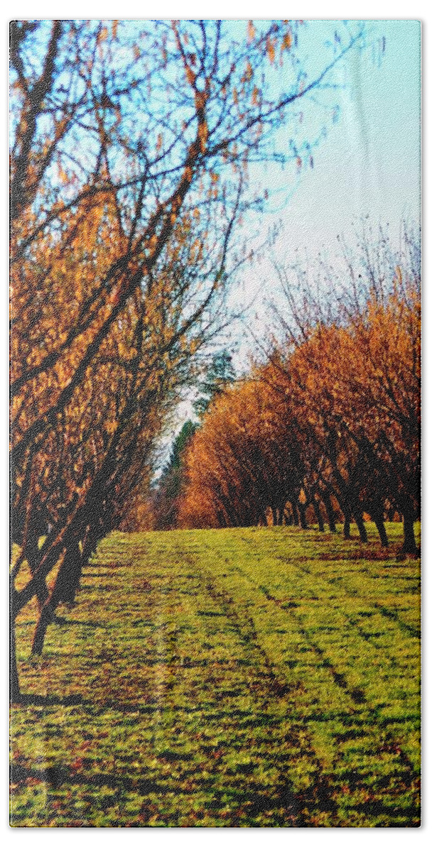 Nature Bath Towel featuring the photograph Hazelnut Orchard 21578 16X20 by Jerry Sodorff