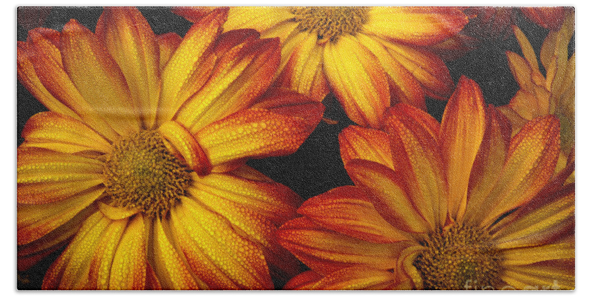 Flowers Bath Towel featuring the photograph HDR Flowers by Douglas Stucky