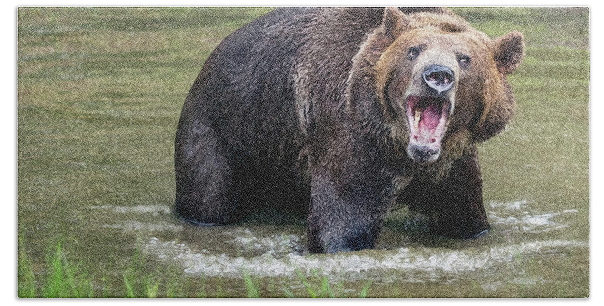 Grizzly Bear Bath Towel featuring the photograph He Speaks by Art Cole