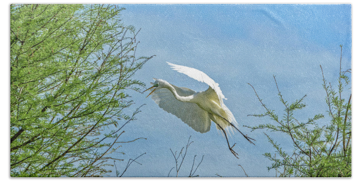 Egrets Nesting Rookery Hand Towel featuring the photograph Heading Home by Mike Covington