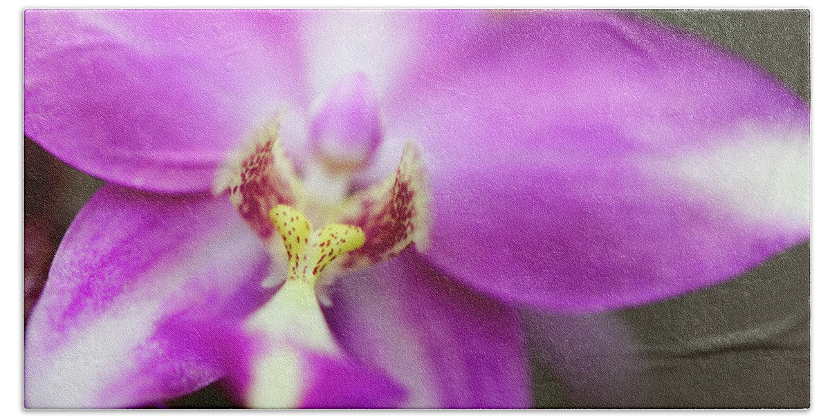 Macro Bath Towel featuring the photograph Heartfelt by Mary Anne Delgado