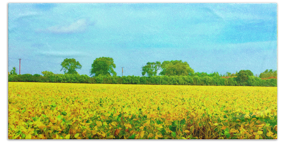 Yellow Field Bath Towel featuring the photograph Heavenly Field by Rod Whyte