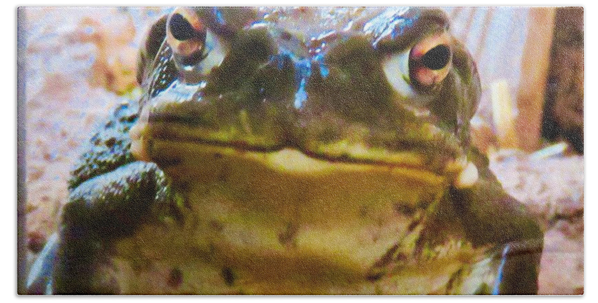 Amphibian Hand Towel featuring the photograph Hello by Judy Kennedy