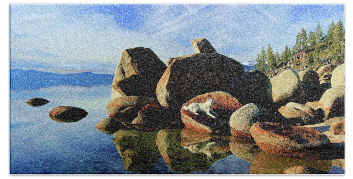 Lake Tahoe Bath Towel featuring the photograph Hello Sekani by Sean Sarsfield