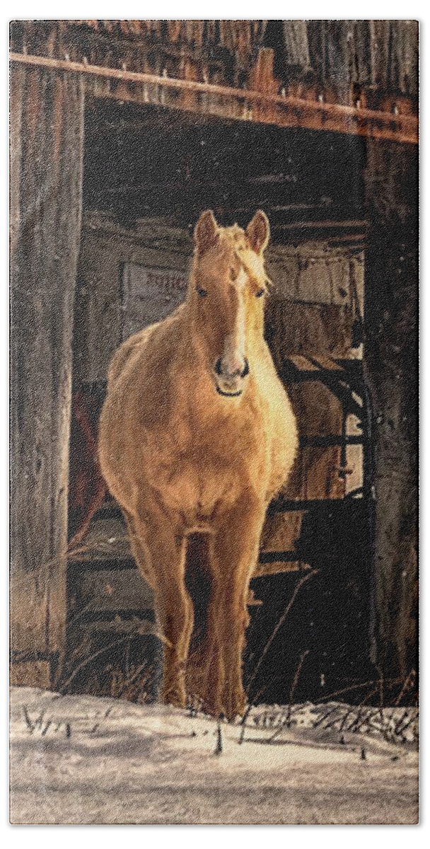 Horse Bath Towel featuring the photograph Hello Sweetheart by Lois Bryan