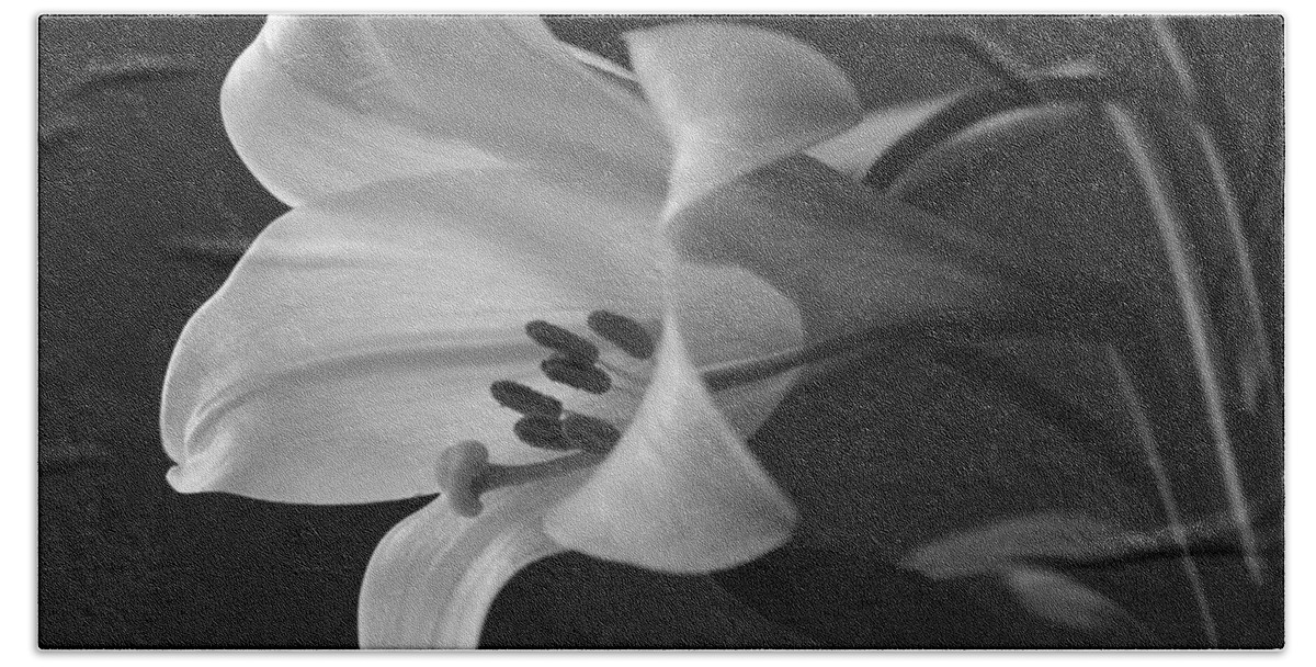 Black And White Hand Towel featuring the photograph Her Name was Lily by Colleen Cornelius