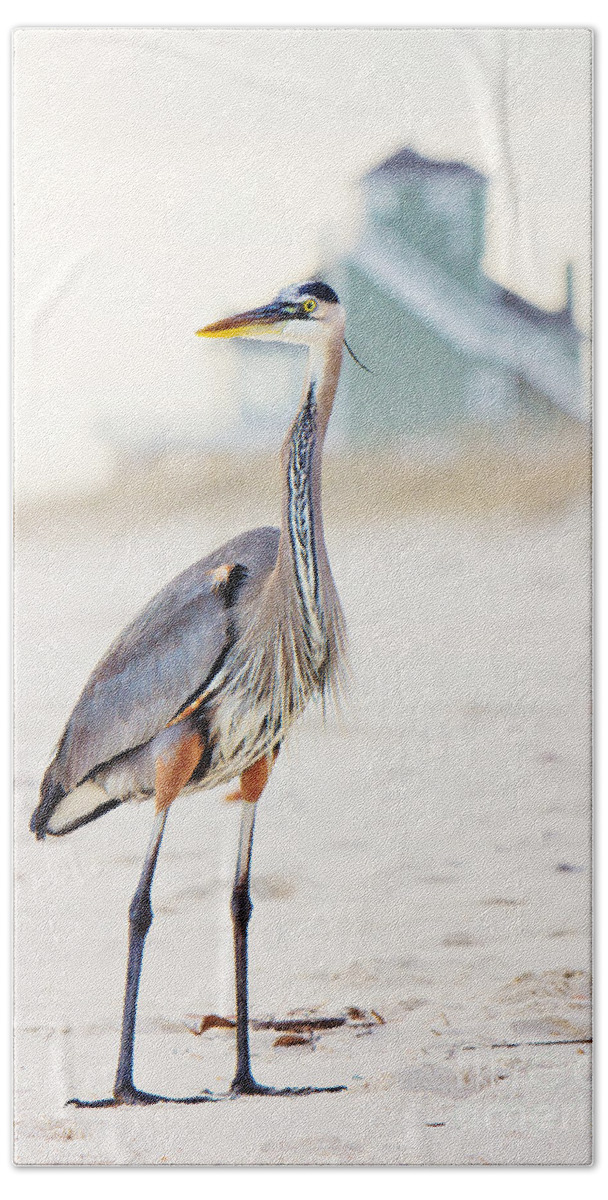 Heron Hand Towel featuring the photograph Heron and the Beach House by Joan McCool