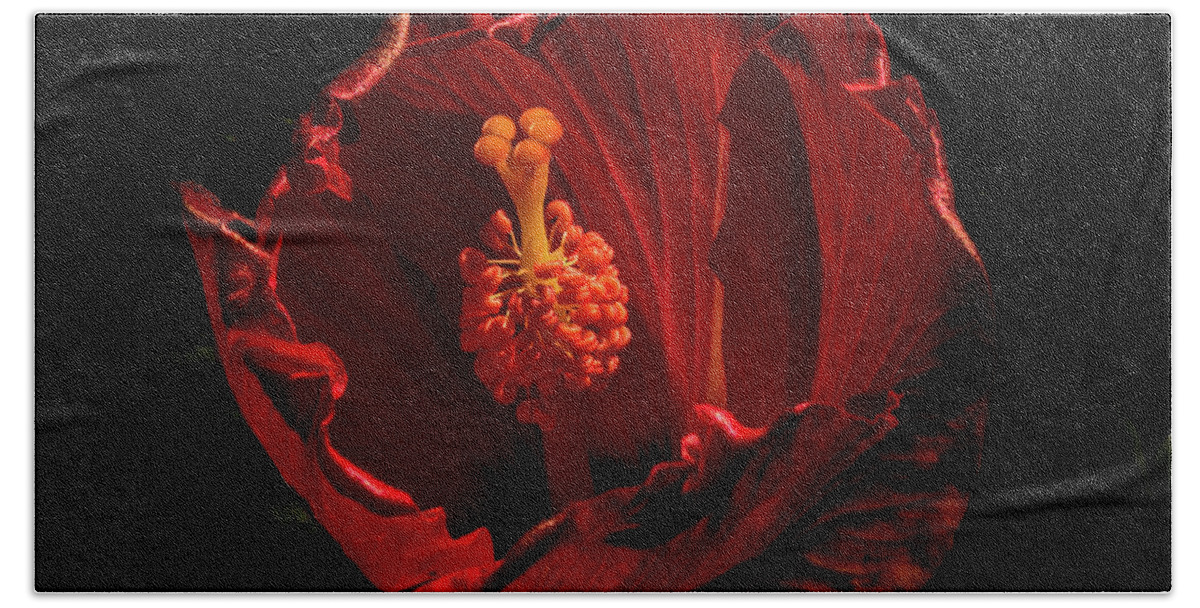 Jay Stockhaus Bath Towel featuring the photograph Hibiscus 2 by Jay Stockhaus