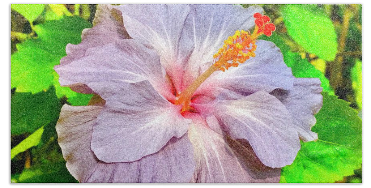 Hibiscus Adele 1 Flowers Of Aloha Lavender Hand Towel featuring the photograph Hibiscus Adele 1 by Joalene Young