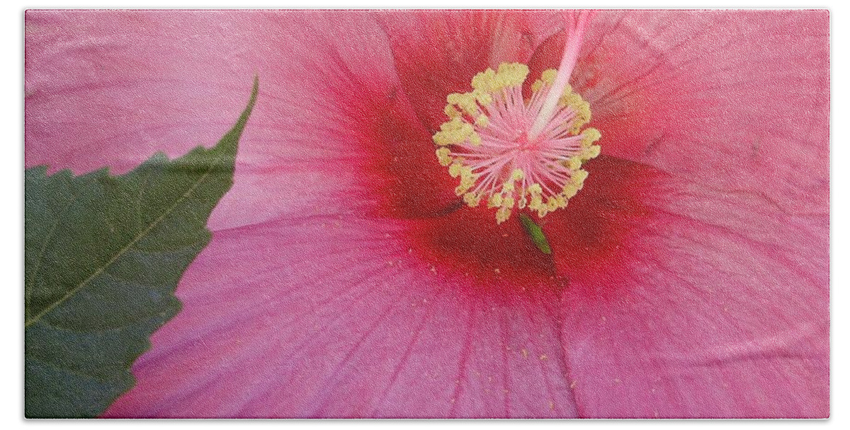 Hibiscus Hand Towel featuring the photograph Hibiscus by Anjel B Hartwell