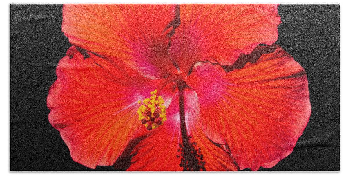 Hibiscus Flower In Full Bloom Hand Towel featuring the photograph Hibiscus flower by Kenneth Cole