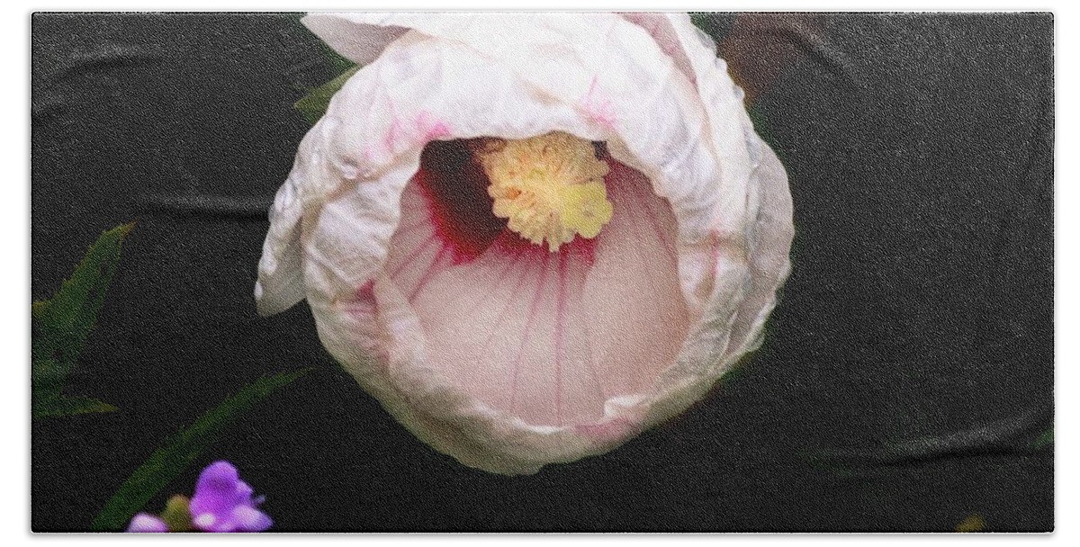 Hibiscus Bath Towel featuring the photograph Hibiscus in bloom by Jackson Pearson
