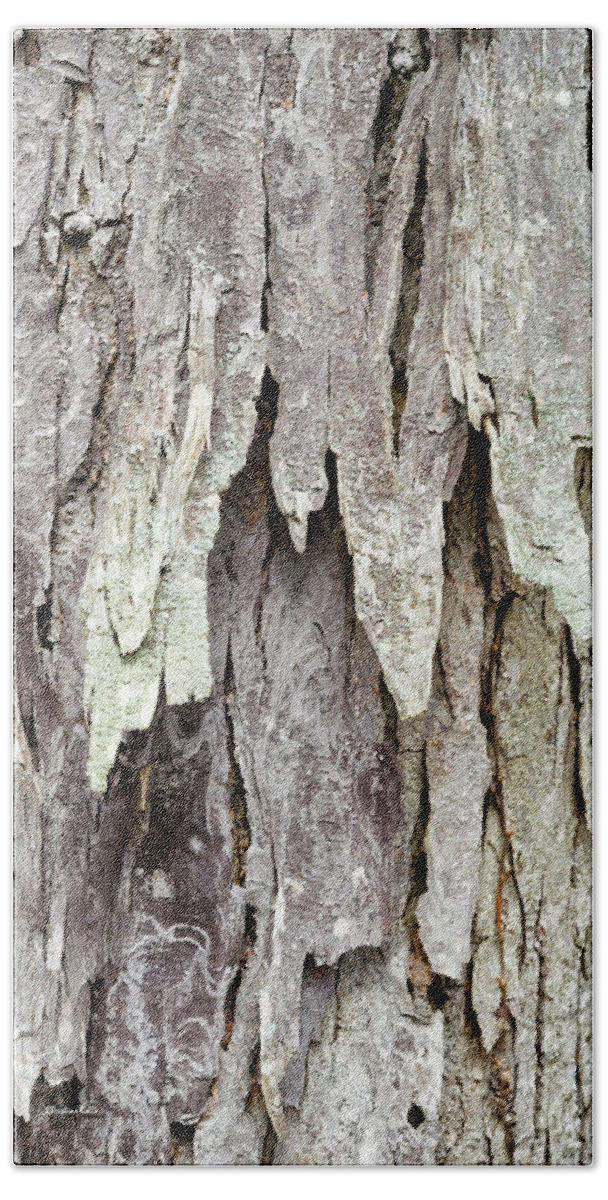 Tree Bark Hand Towel featuring the photograph Hickory Tree Bark Abstract by Christina Rollo