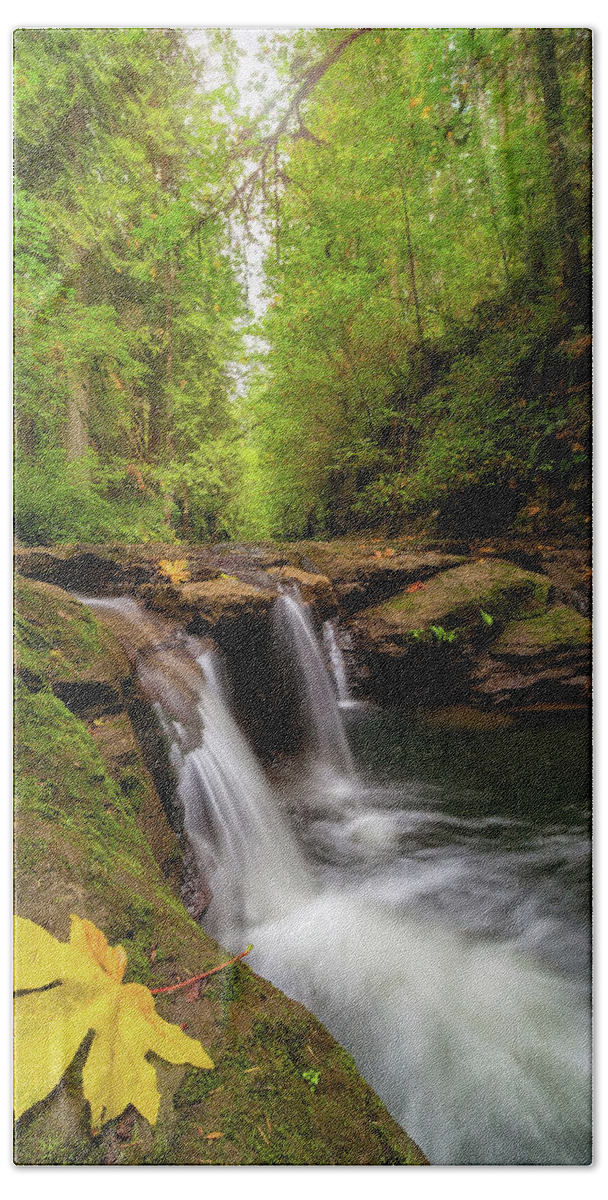 Hidden Falls Hand Towel featuring the photograph Hidden Falls at Rock Creek by David Gn