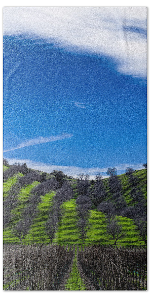 Vineyard Hand Towel featuring the photograph Hidden Valley Hills by David Smith