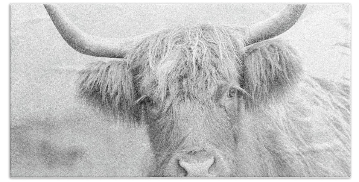 Highland Cow Bath Towel featuring the photograph Highland Breed by Steve McKinzie
