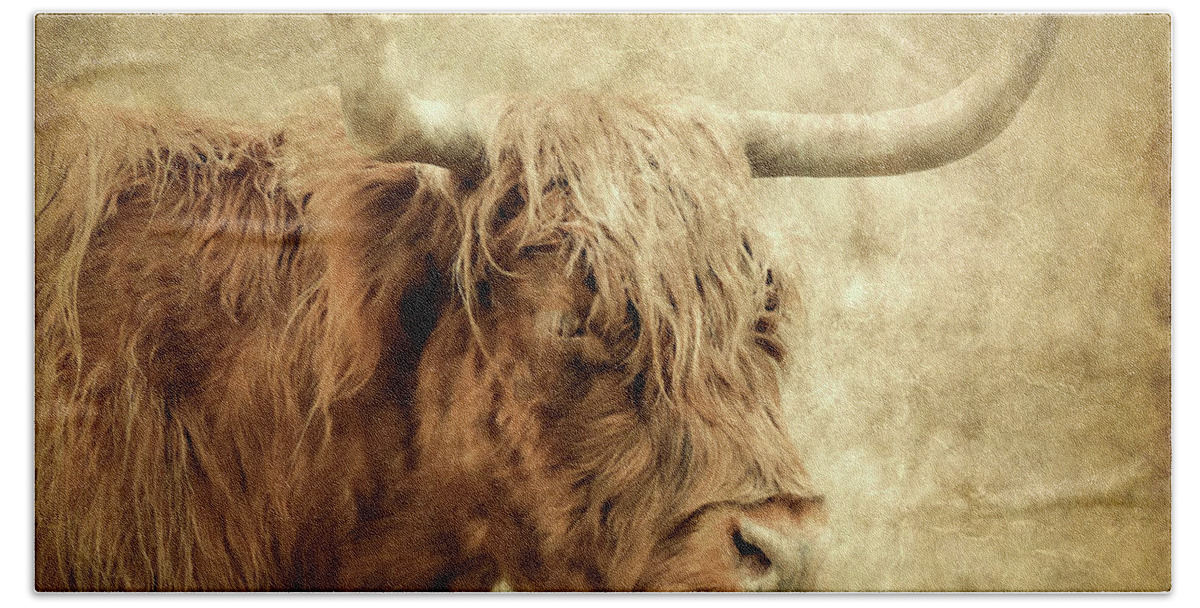Highland Cow Bath Towel featuring the photograph Highland Cow Paint by Athena Mckinzie