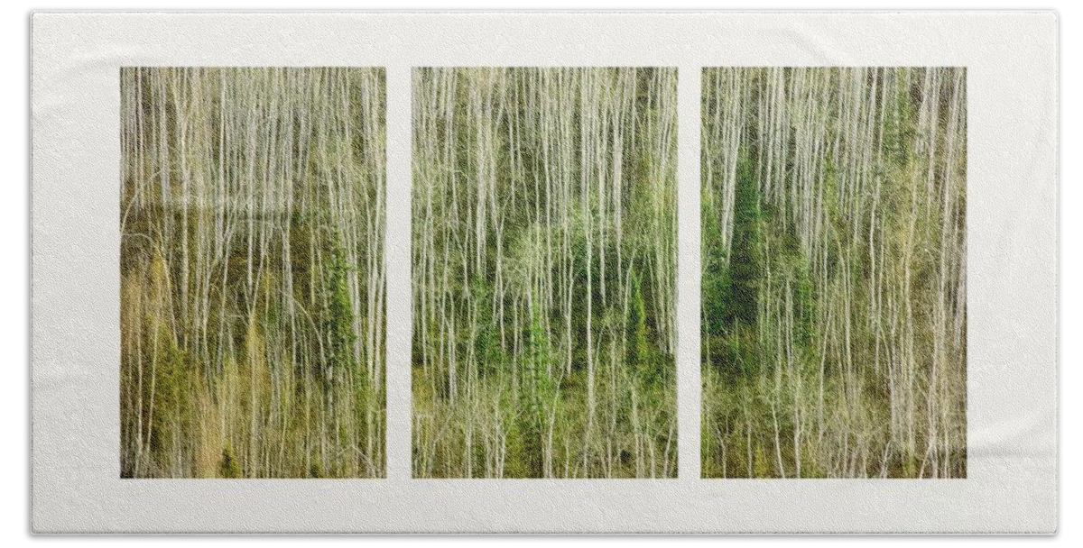Lines Bath Towel featuring the photograph Hillside Forest by Priska Wettstein