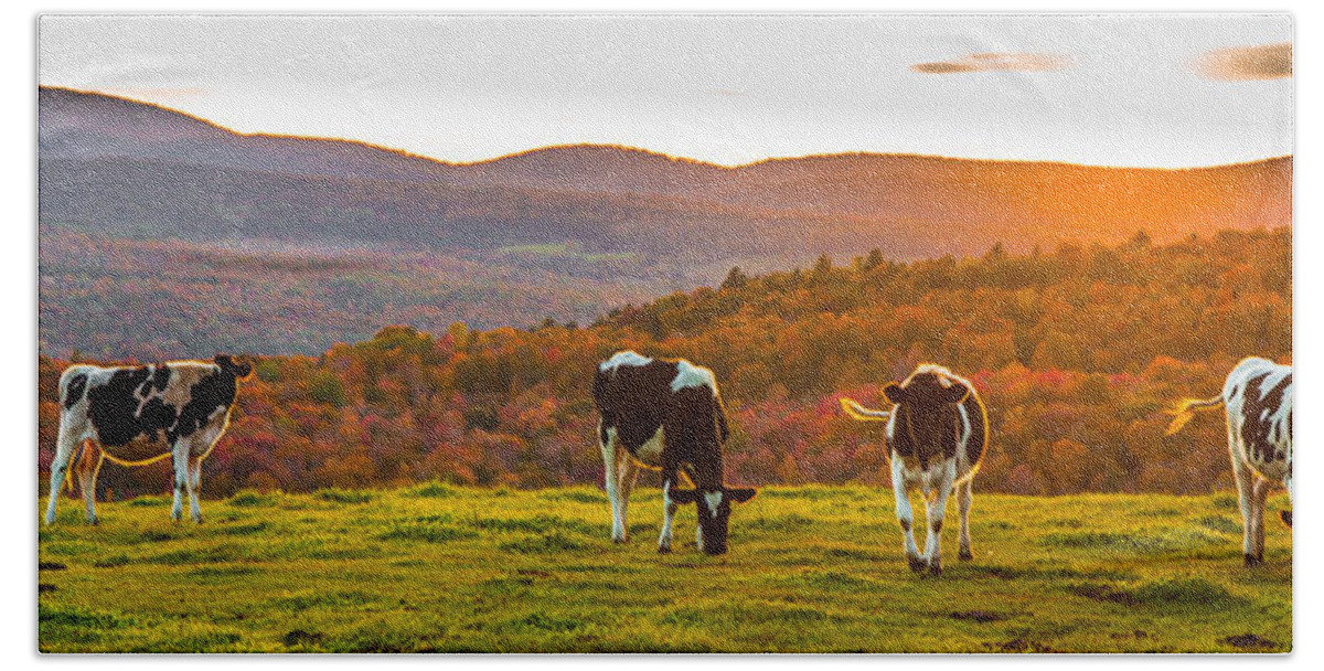 Cows Bath Towel featuring the photograph Hilltop Herd by Tim Kirchoff