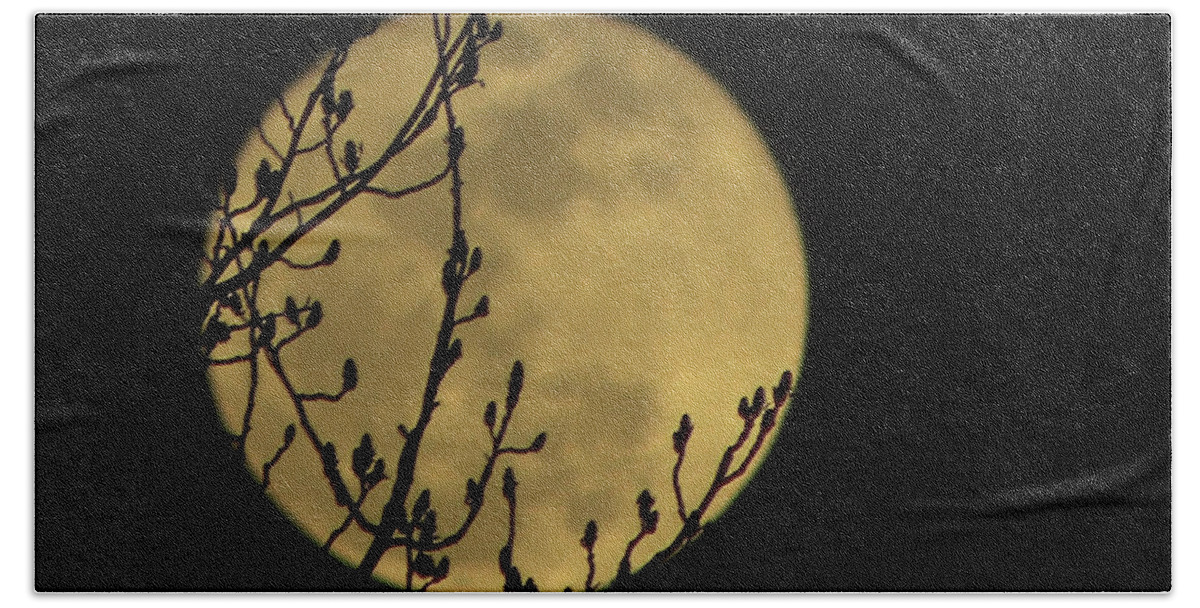 Super Moon Hand Towel featuring the photograph Holding Up The Super Moon by Sandi OReilly