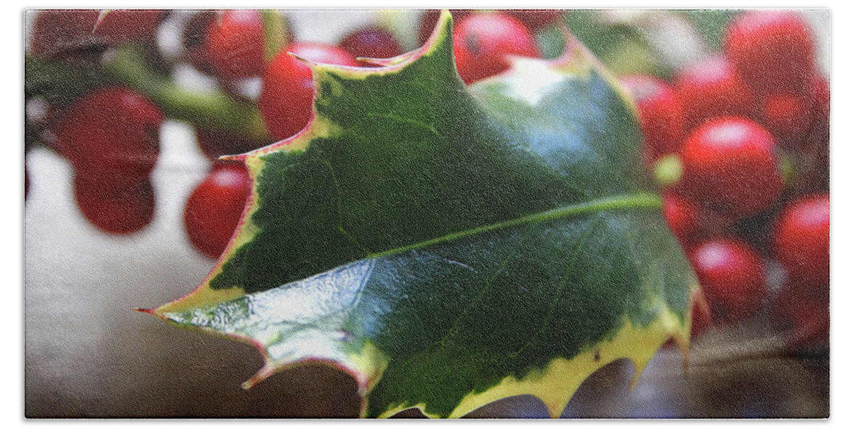 Holly Hand Towel featuring the photograph Holly Berries- Photograph by Linda Woods by Linda Woods