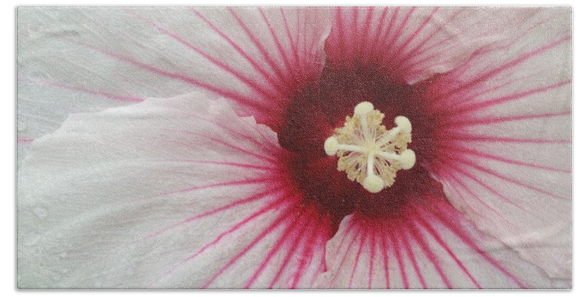Flowers Bath Towel featuring the photograph Holy Hibiscus by Anjel B Hartwell